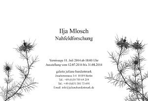 Flyer Nahfeldforschung