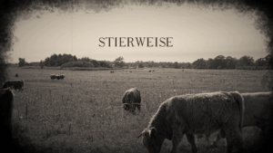 Anfangsbild mit Titel "Stierweise"